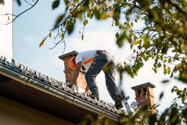 Best Commercial Roofing Services  in Glen Dale, WV