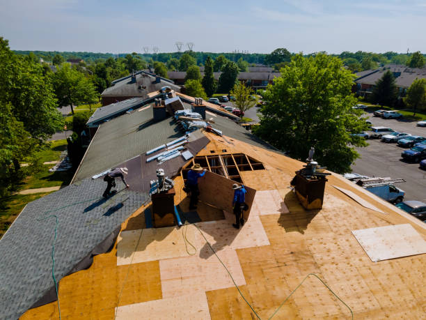 Best Roof Maintenance Services  in Glen Dale, WV