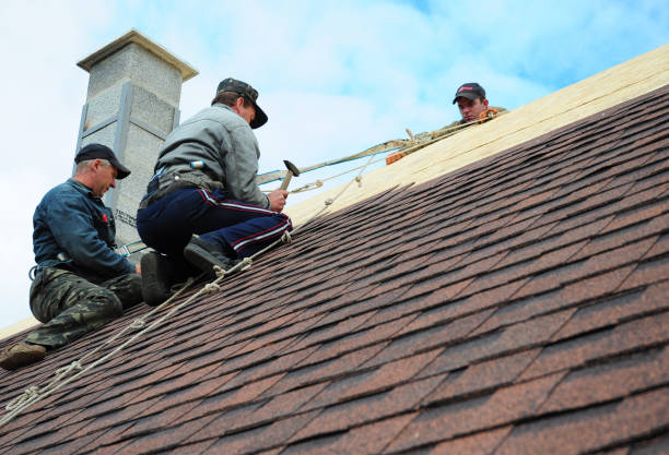 Roof Gutter Cleaning in Glen Dale, WV
